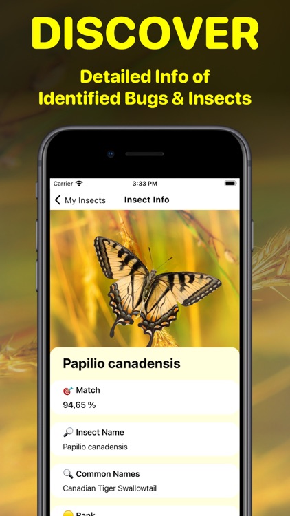 Bug Identifier App - Insect ID