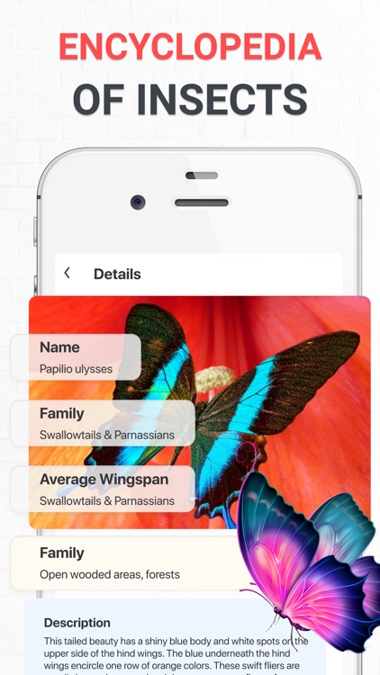 Insect photo Identifier AI screenshot-6
