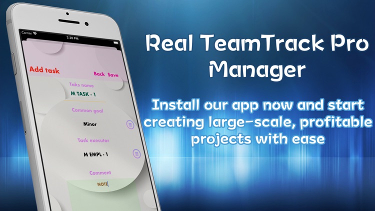Real TeamTrack Pro Manager
