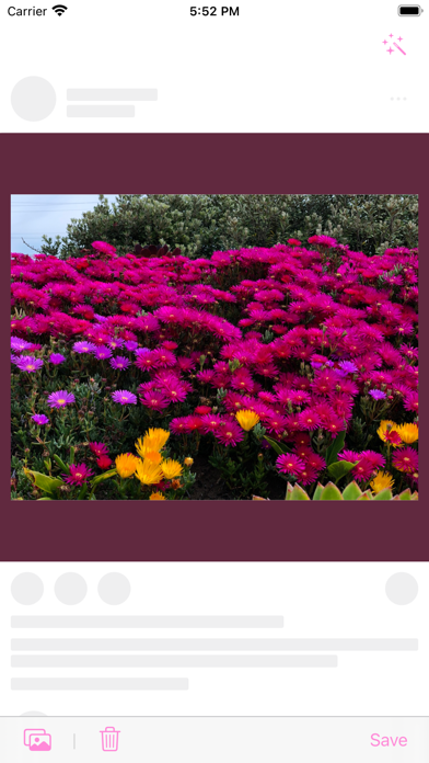 White Border: Square Fit Photo screenshot 4