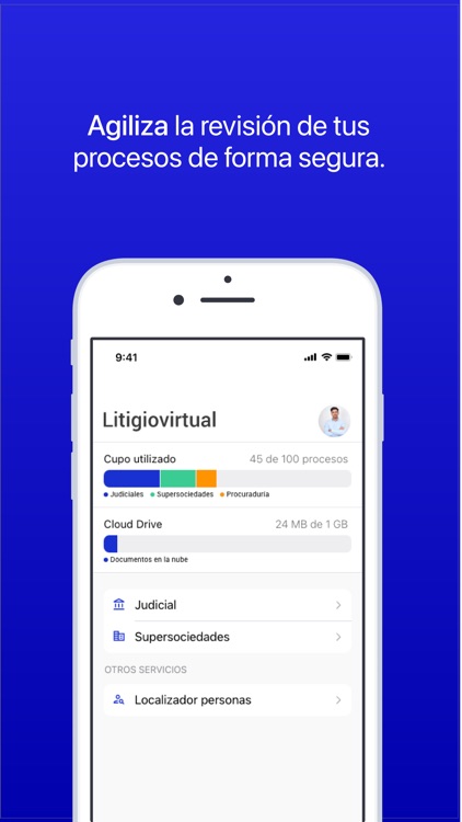 Litigiovirtual