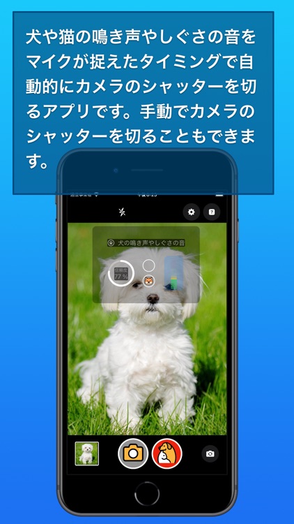 わんにゃんカメラ By Tomohiko Shimizu Pooh