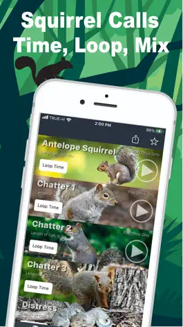 Game screenshot Squirrel Calls for Hunters mod apk