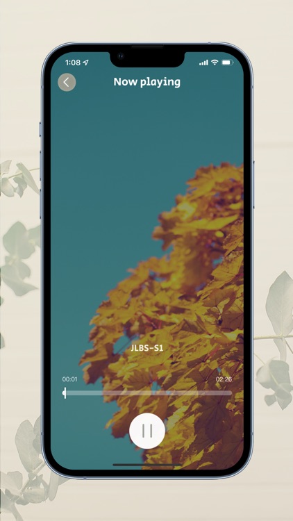 NaturalHarmony screenshot-5