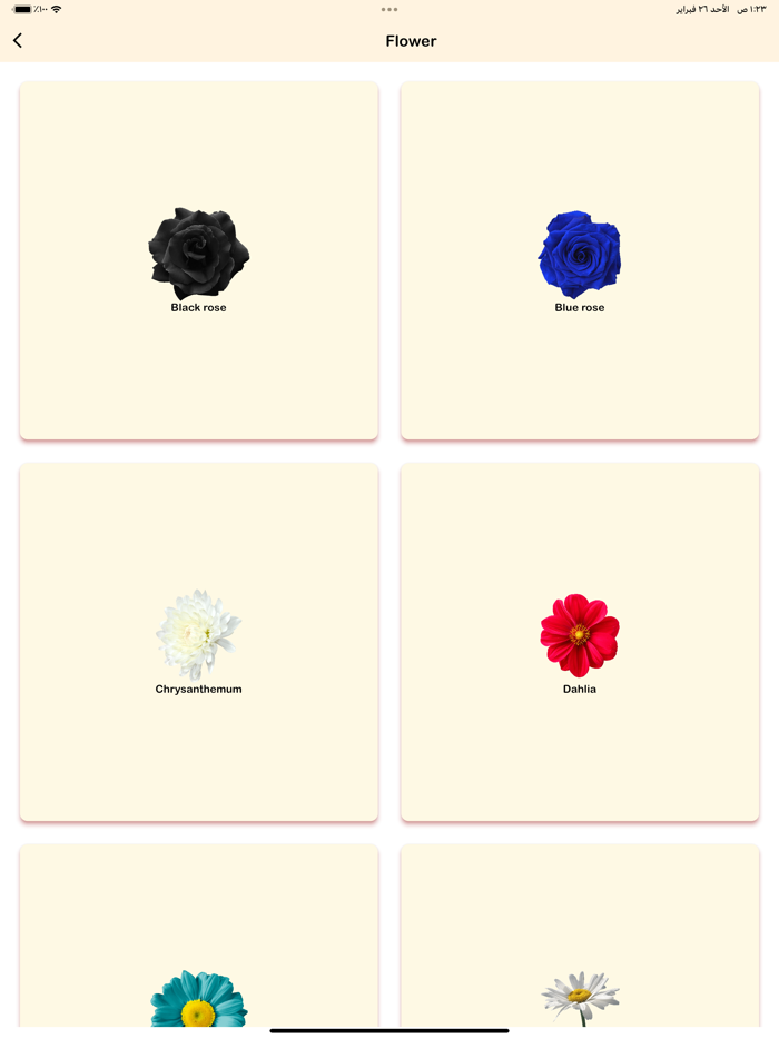 ABC Preschool -TracingPhonics