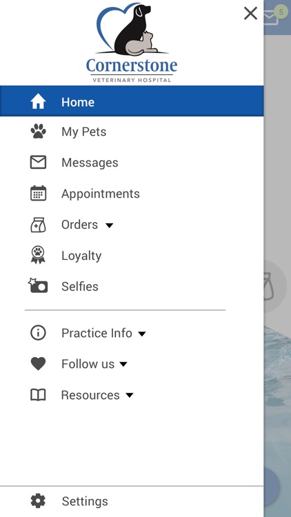 Cornerstone Vet Hosp FL screenshot-4
