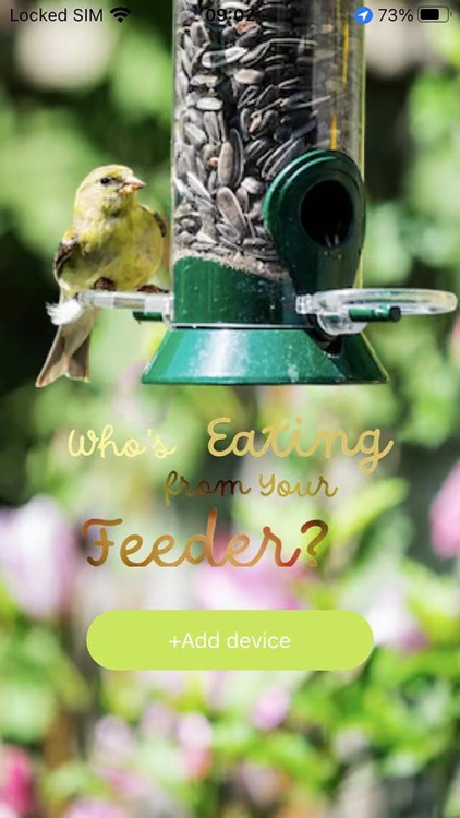 Bird Watching Camera