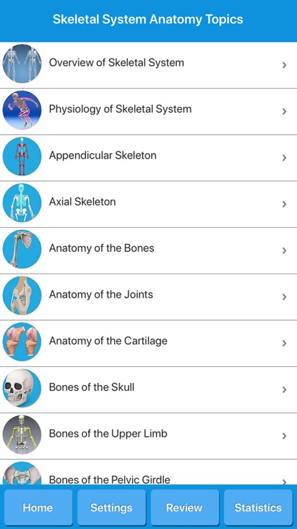 Skeletal System Anatomy