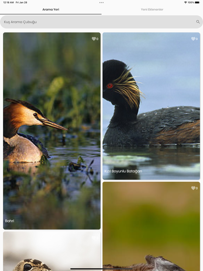 Kızılırmak Kuşları