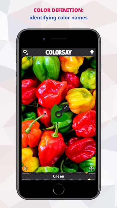 ColorSay • Color Scanner app screenshot 7 by White Marten GmbH - appdatabase.net