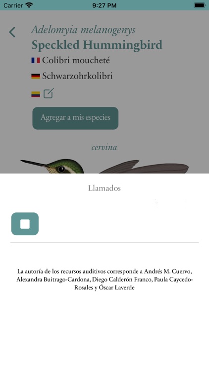 Avifauna Colombiana - BirdScan screenshot-4
