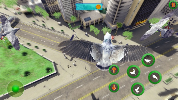 Pigeon Games Flight Simulator