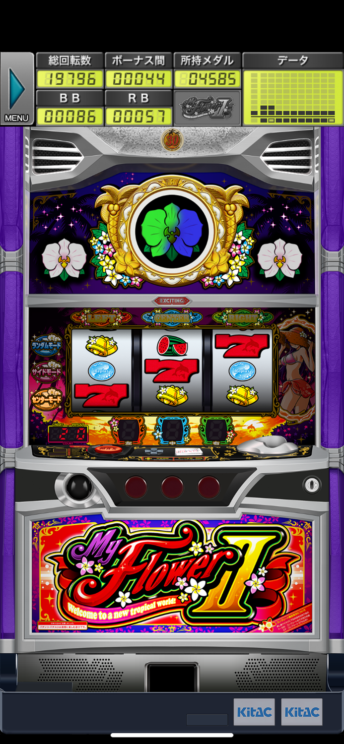 Sマイフラワー2-30