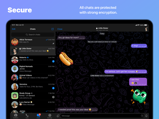 Telegram Messenger screenshot 3