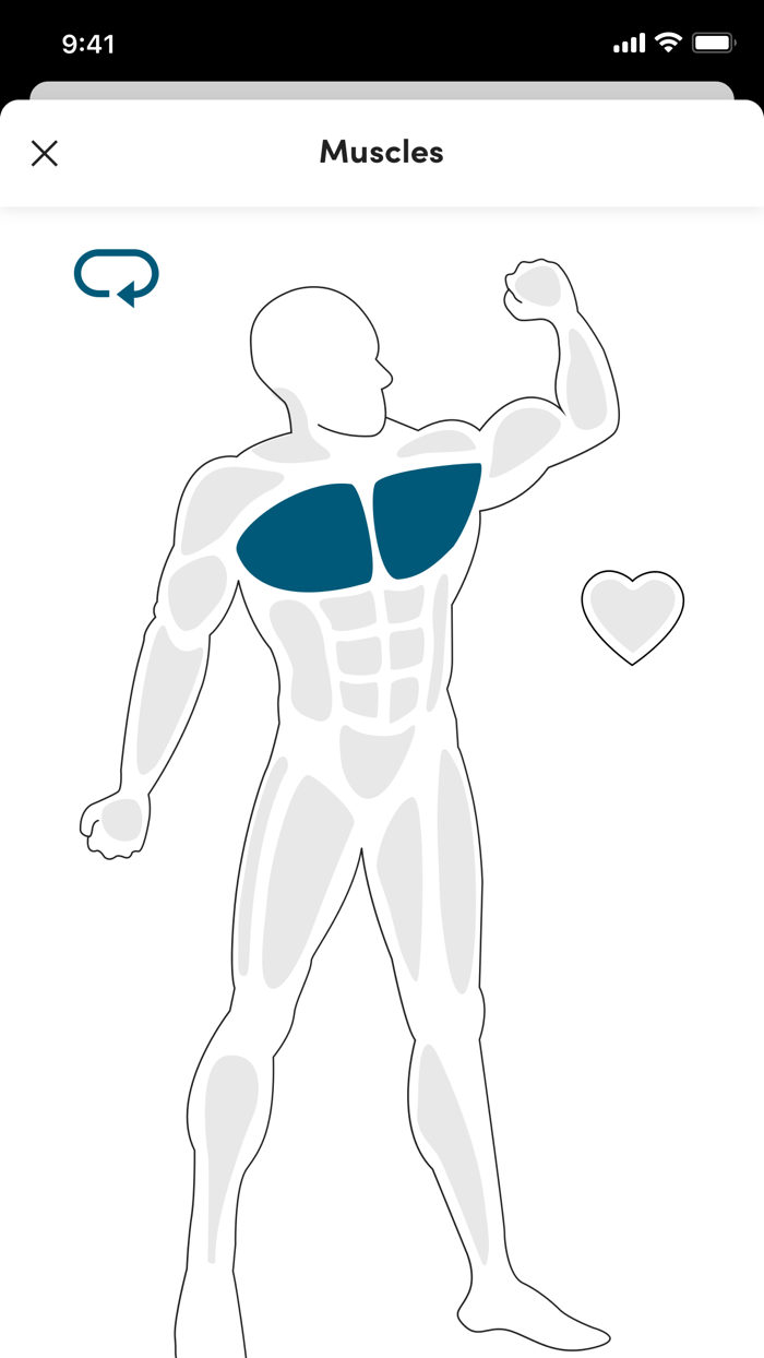 Jetts Fitness NL edition