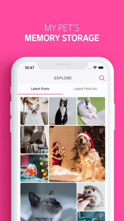 PetUP - Pet Social Network screenshot-3