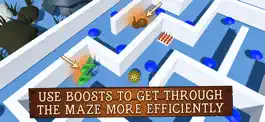 Game screenshot Crossing The Maze hack