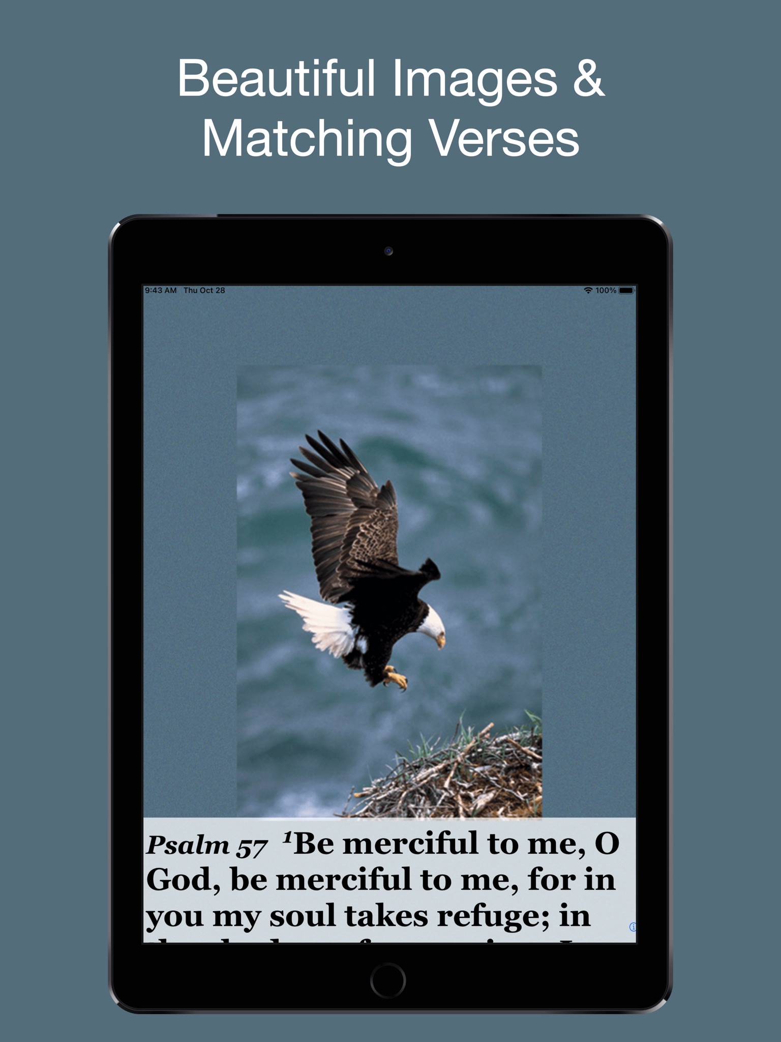 Psalm Daily Quotes ESV screenshot 2