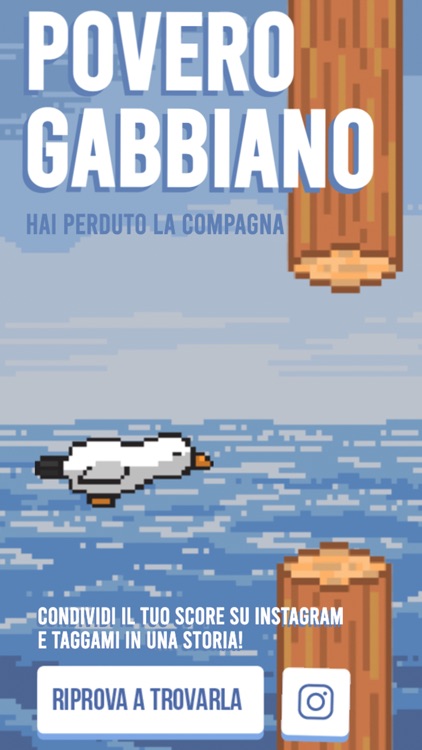 Povero Gabbiano