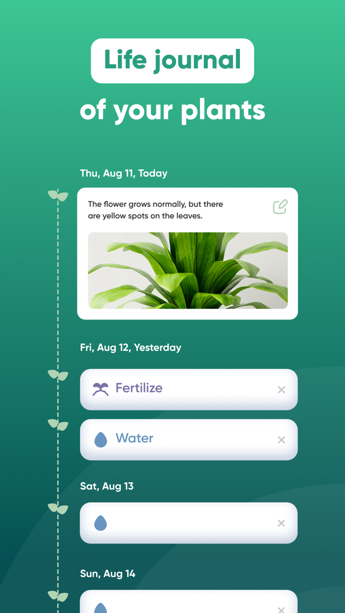 Plant, Flower IdentifierCare