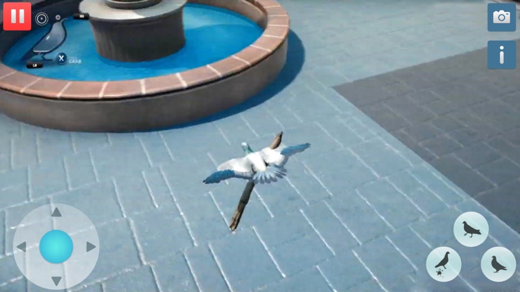 Hungry Pigeon Simulator Game