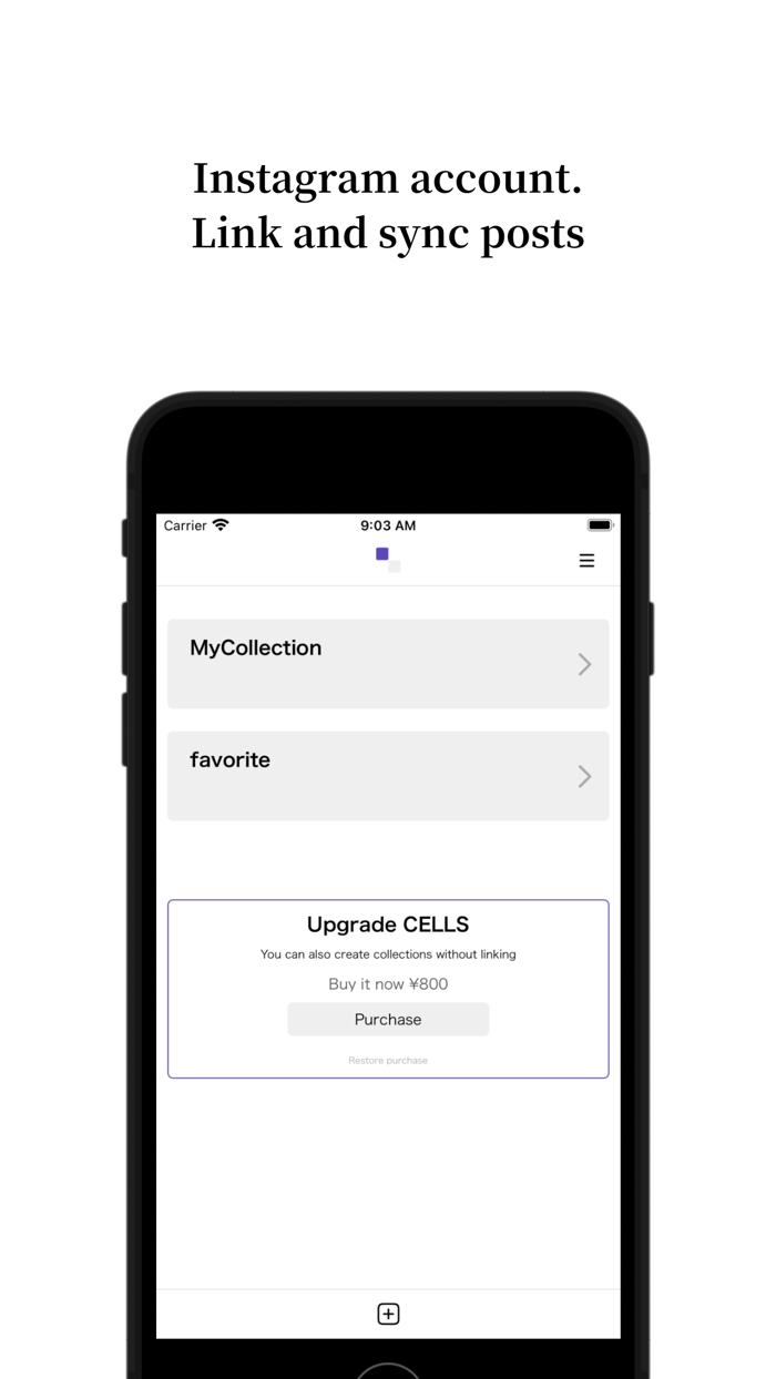 CELLS SNSPostSimulator