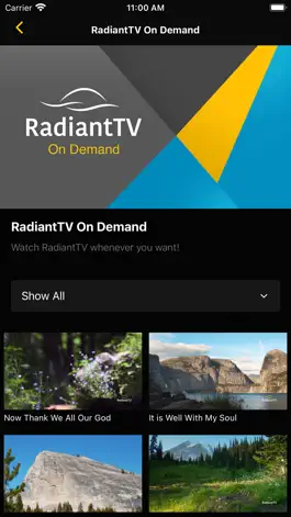 Game screenshot RadiantTV apk