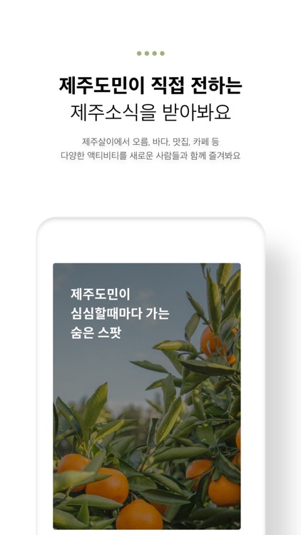 제주살이 screenshot-3