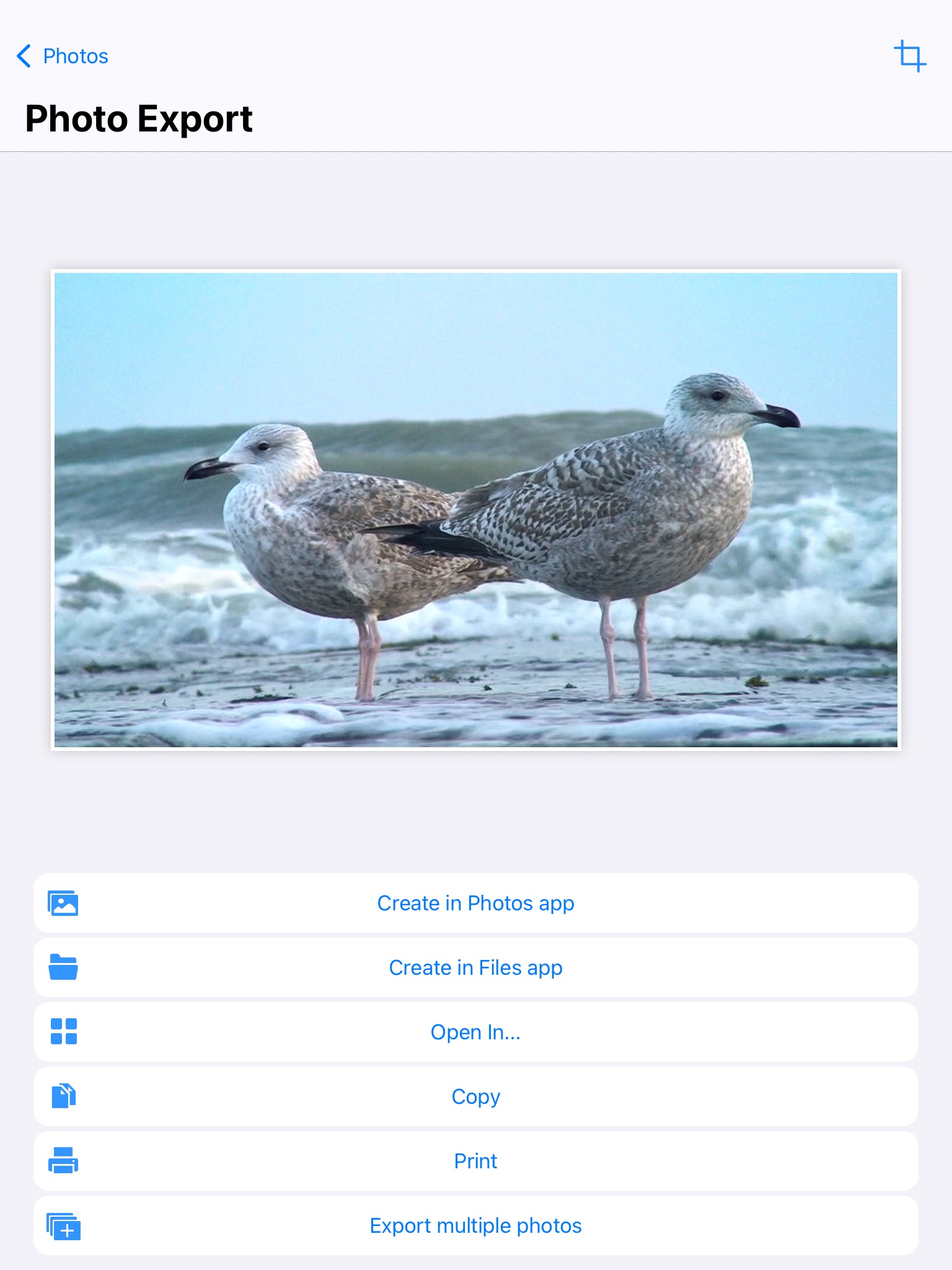 PureClip Photo screenshot 4