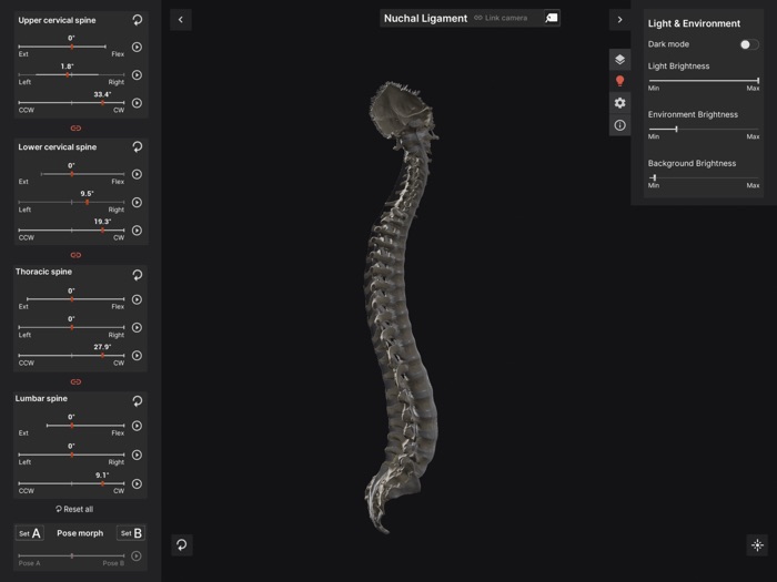 Biomechanics of the Spine Lite