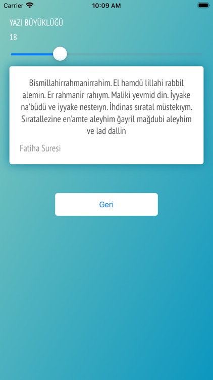 Günün Ayetini Oku screenshot-9