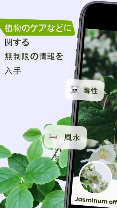 花の名前 Plntアプリで植物を調べる Iphoneアプリ Applion