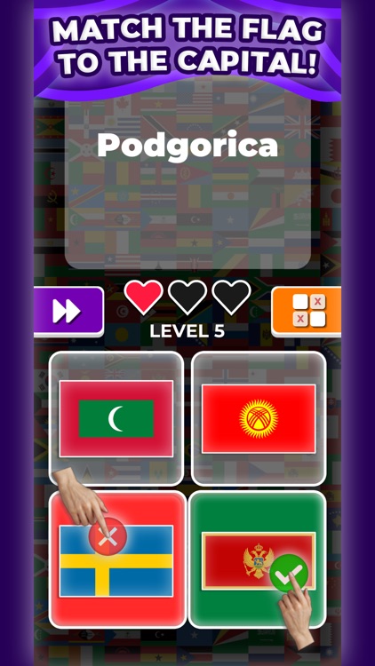 Guess The Flag & Country! screenshot-3