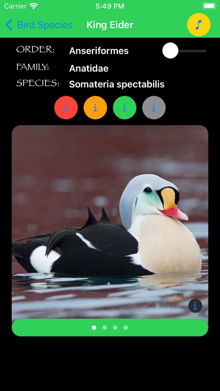 Bird Species Identifier