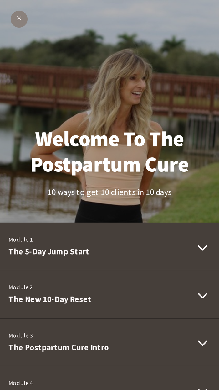 The Postpartum Cure Plan