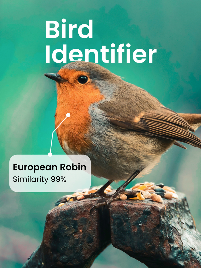 Bird ID Identifier