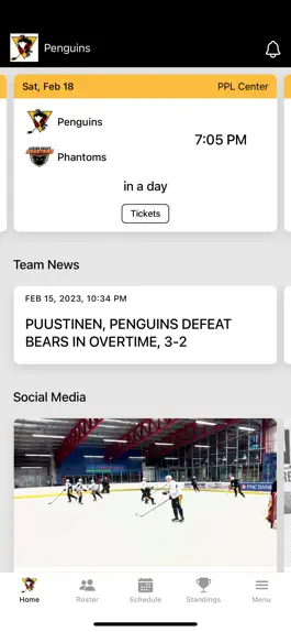 Game screenshot Wilkes-Barre/Scranton Penguins apk