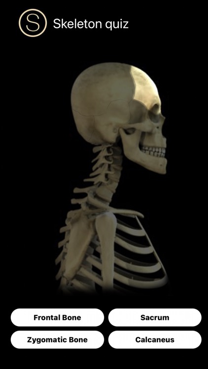 Skeleton Study Guide screenshot-7