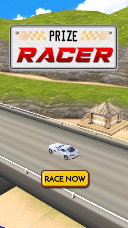 Real Money Racing Skillz