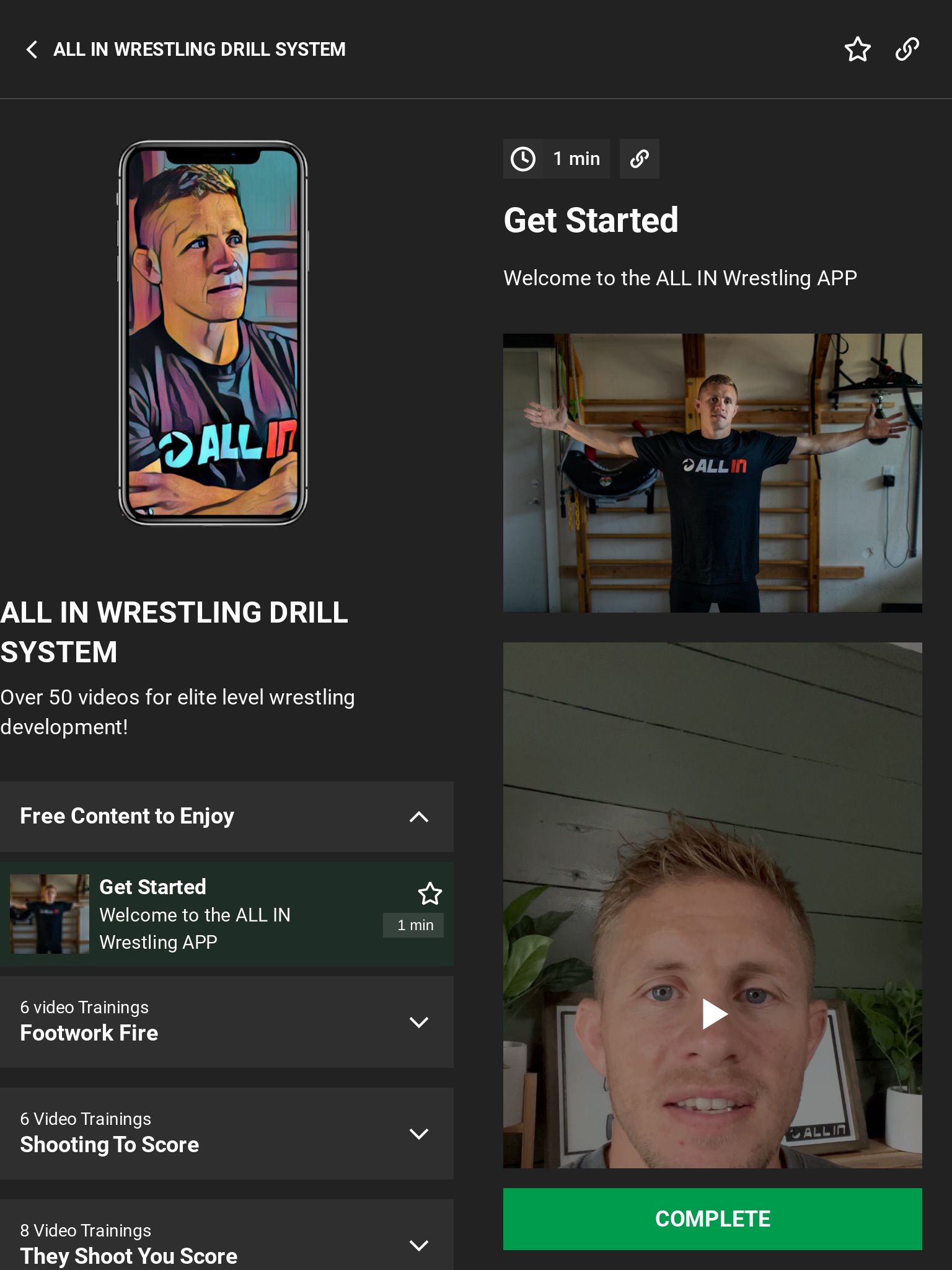 ALL IN WRESTLING screenshot 4