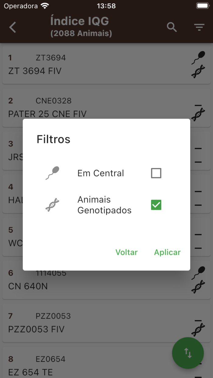 Sumário de Touros Senepol