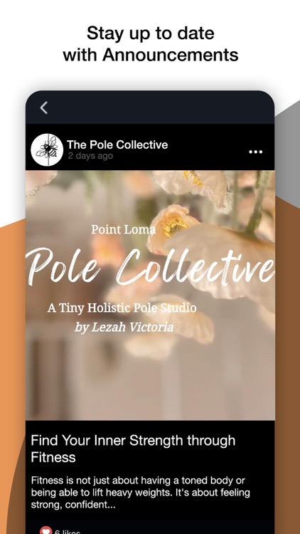 The Pole Collective screenshot-3