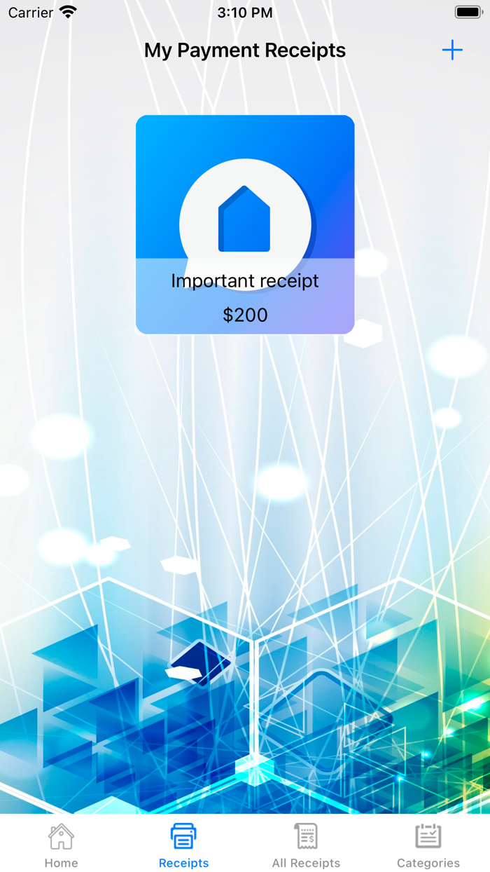 RepairAccounting for household