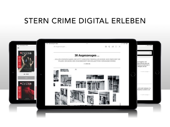 stern Crime screenshot 2