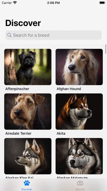 Dog Breeds HQ