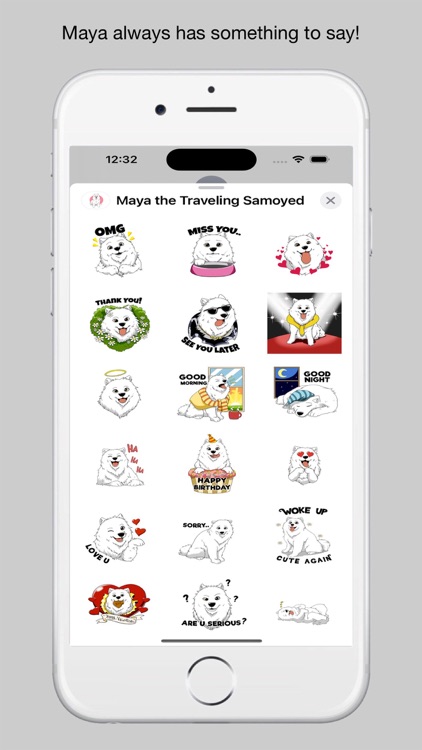 Maya Traveling Samoyed