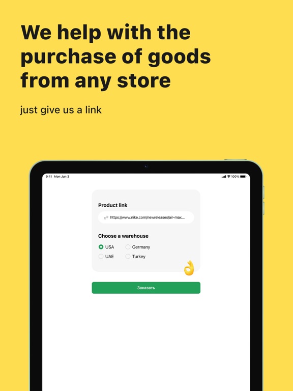LiteMF: покупка и доставка screenshot 2