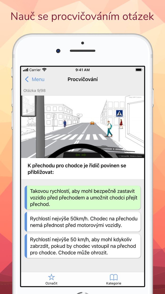 Profesní způsobilost řidiče