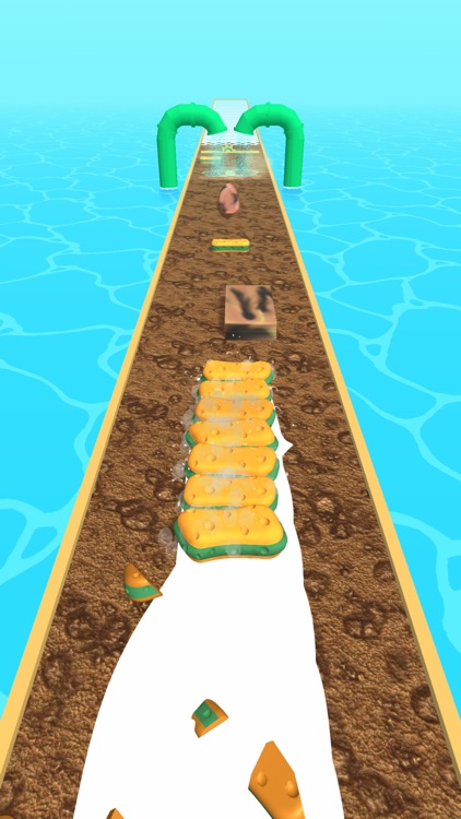 Sponge Runner 3D