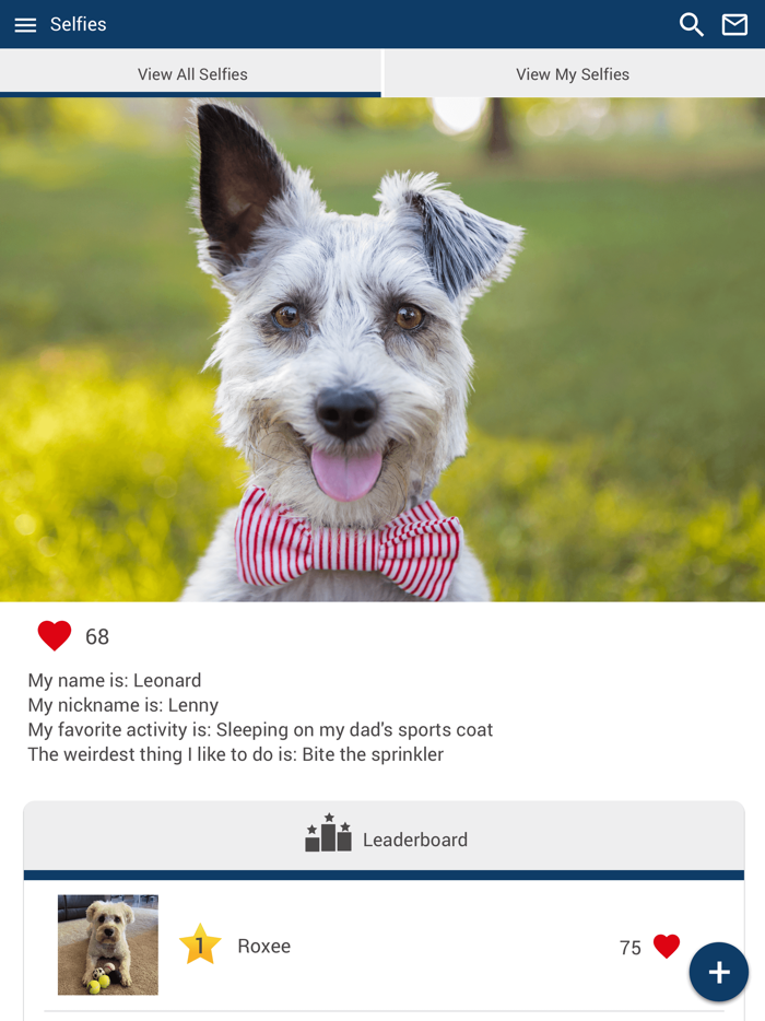 Leander Veterinary Clinic